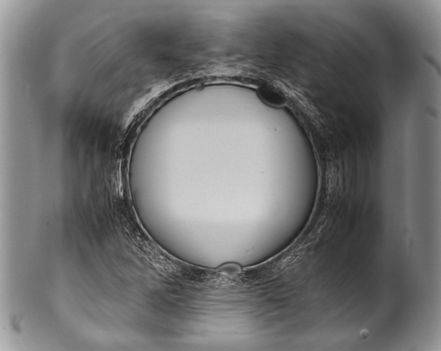 X0000100351262200806201533