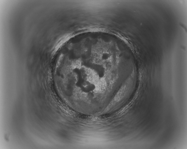 X0000100351263200806201533