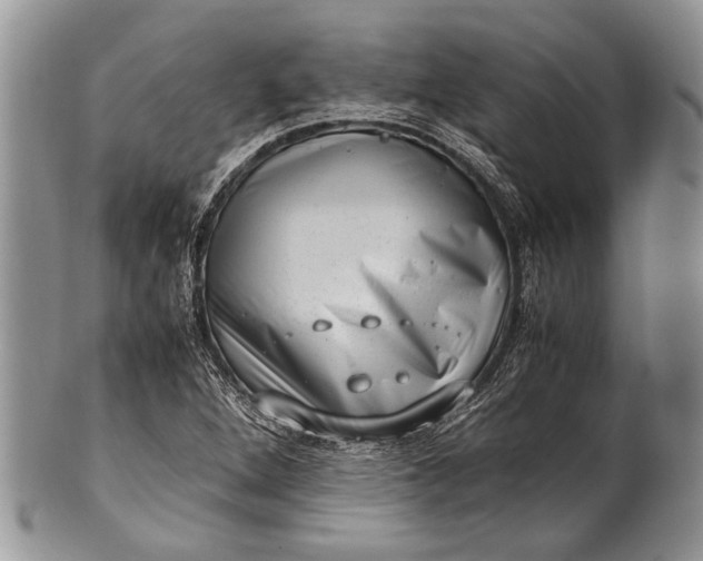 X0000100351264200806201533
