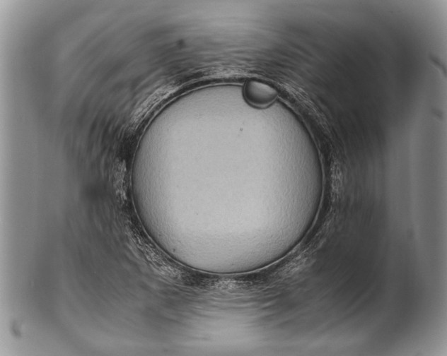 X0000100351265200806201533