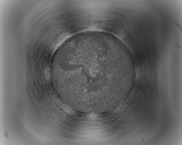 X0000100351266200806201533
