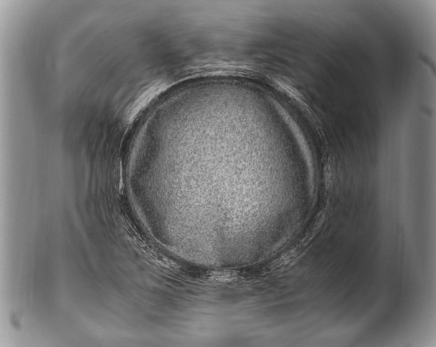 X0000100351267200806201532