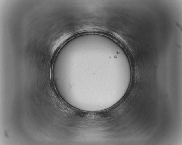 X0000100351269200806201532