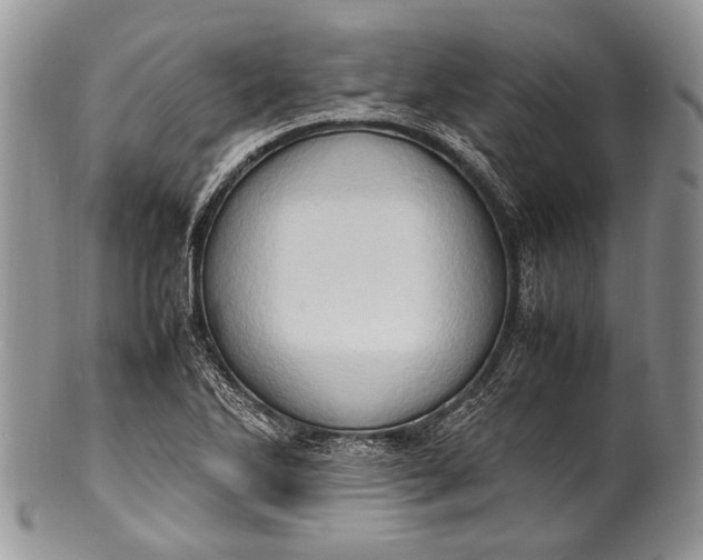 X0000100351270200806201532