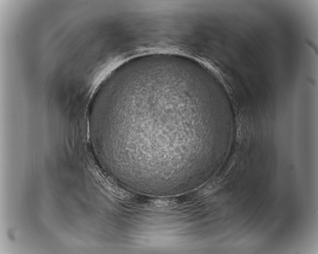 X0000100351271200806201532