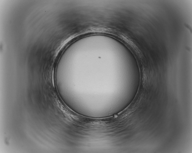 X0000100351272200806201532