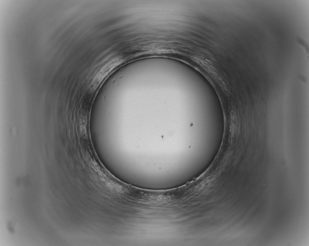 X0000100351273200806201532