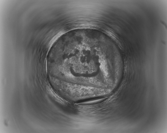 X0000100351275200806201532