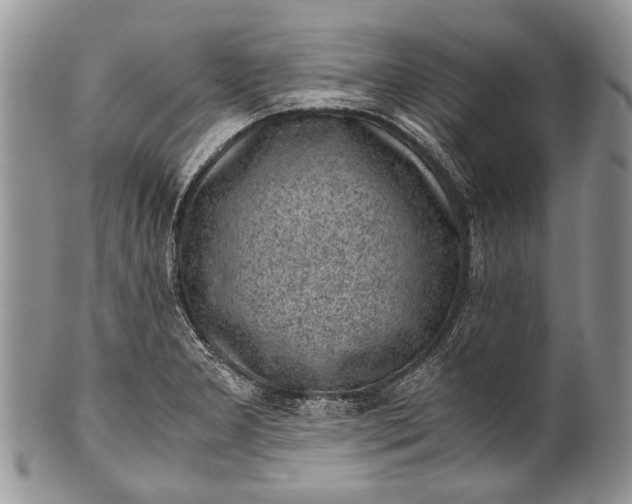 X0000100351277200806201532
