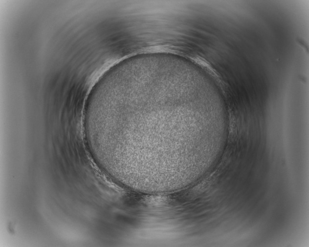 X0000100351278200806201532