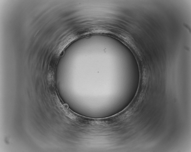 X0000100351281200806201532