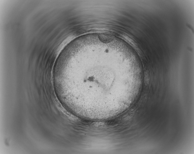 X0000100351283200806201532