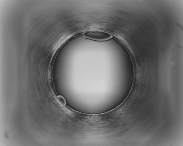X0000100351285200806201532