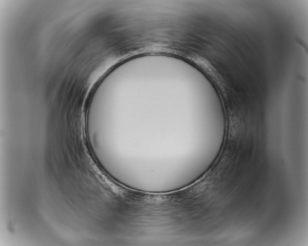 X0000100351286200806201532