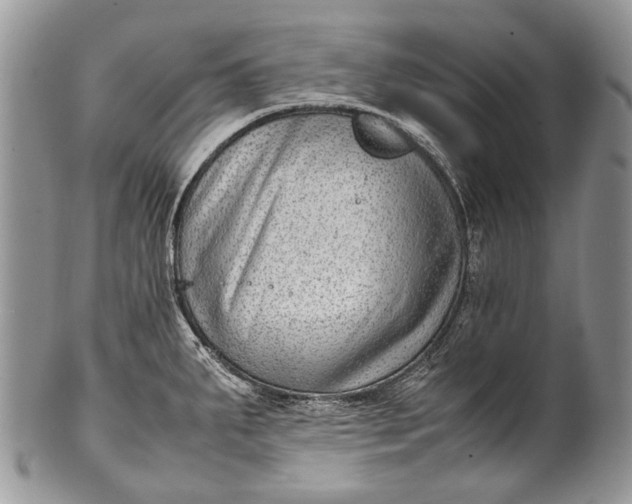 X0000100351287200806201532
