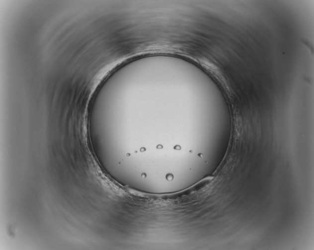 X0000100351288200806201532