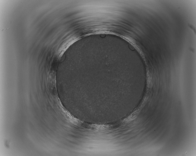 X0000100351289200806201532