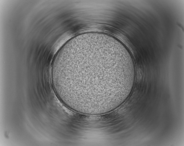 X0000100351290200806201532