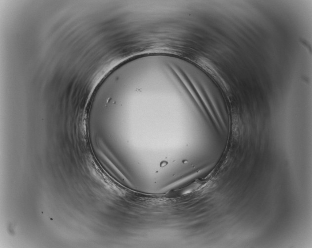 X0000100351292200806201532