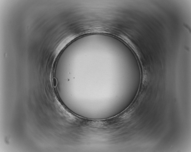 X0000100351293200806201532