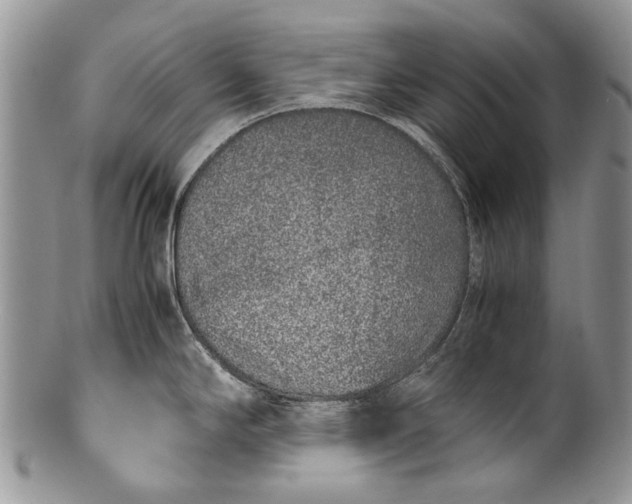 X0000100351294200806201532