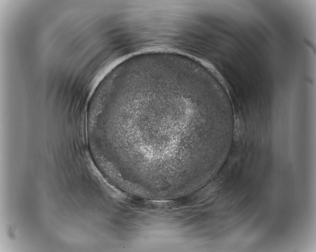 X0000100351295200806201532