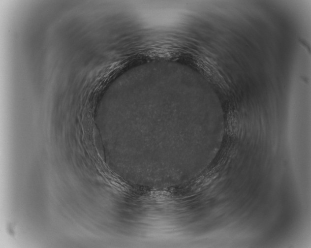 X0000100351297200806201531