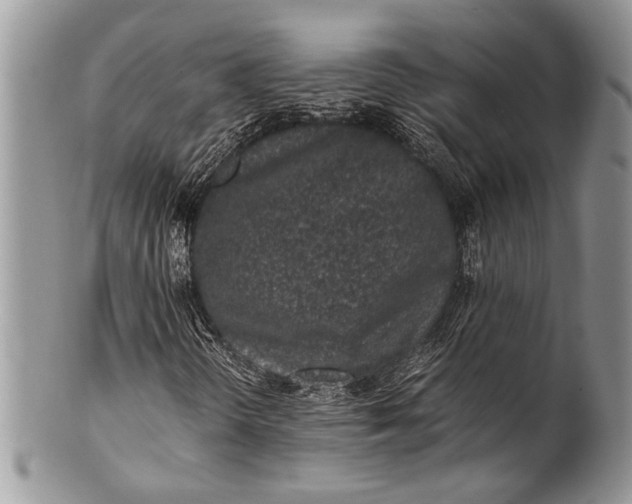 X0000100351298200806201531