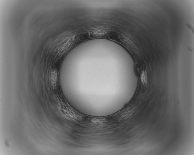 X0000100351299200806201531