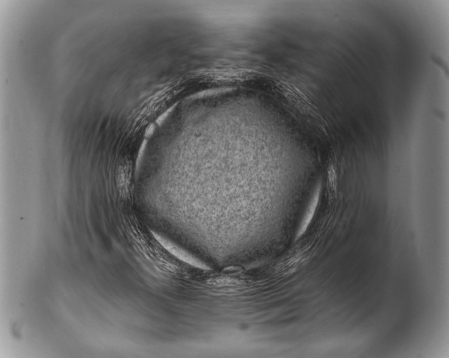 X0000100351300200806201531