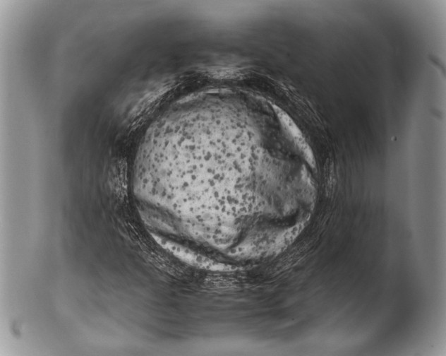 X0000100351301200806201531
