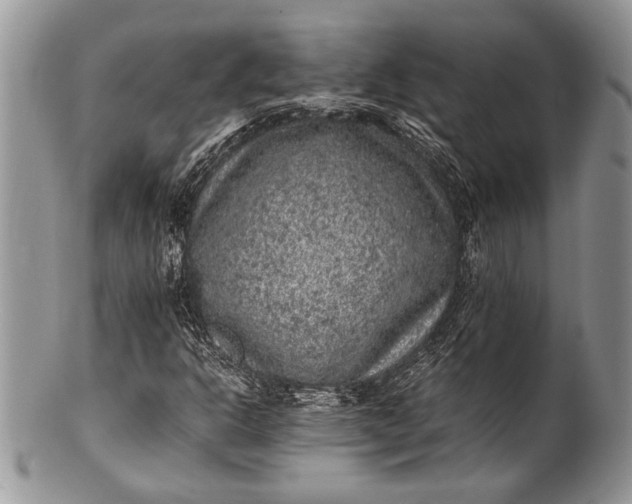 X0000100351302200806201531