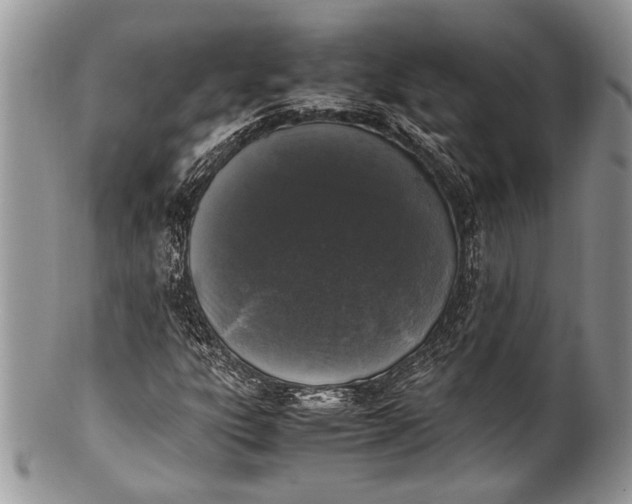 X0000100351303200806201531