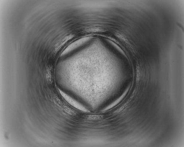X0000100351305200806201531