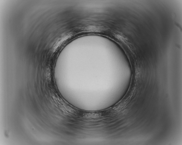X0000100351307200806201531