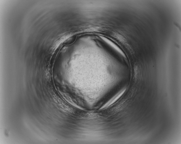 X0000100351308200806201531