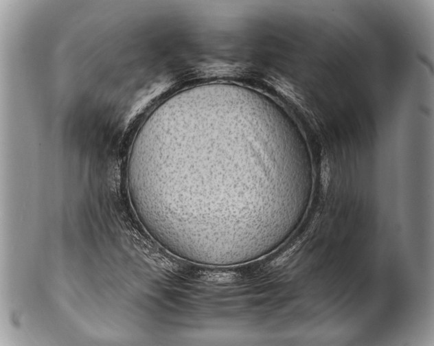 X0000100351309200806201531