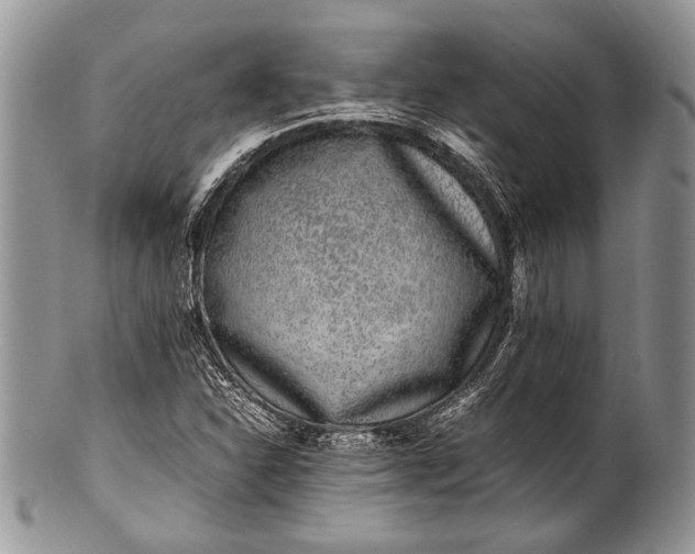 X0000100351310200806201531