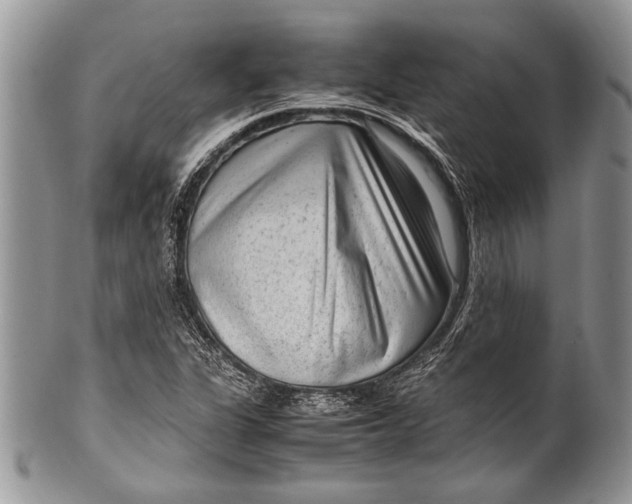 X0000100351311200806201531
