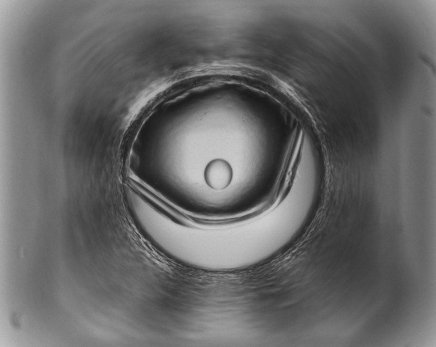 X0000100351312200806201531