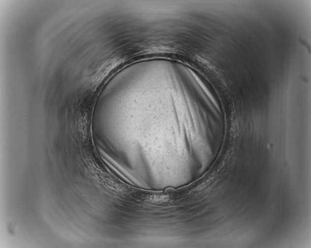 X0000100351313200806201531