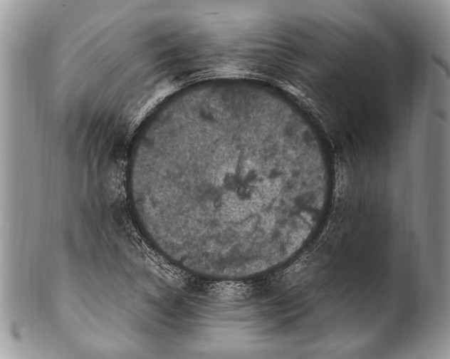 X0000100351314200806201531