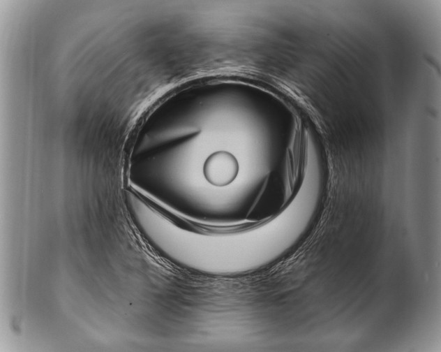 X0000100351316200806201531