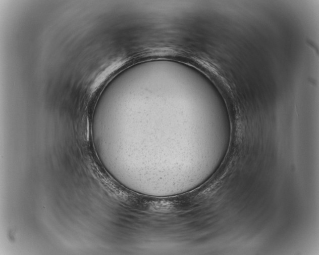 X0000100351317200806201531