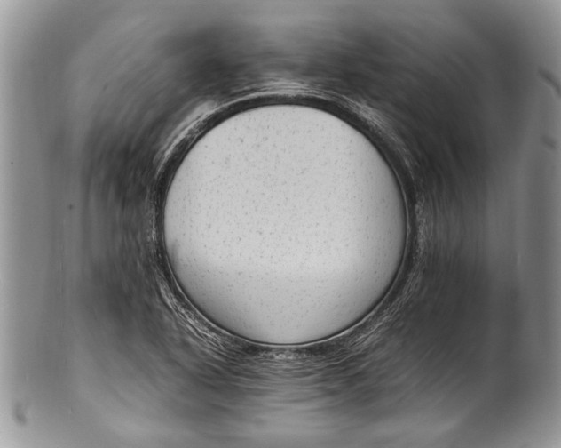 X0000100351318200806201531