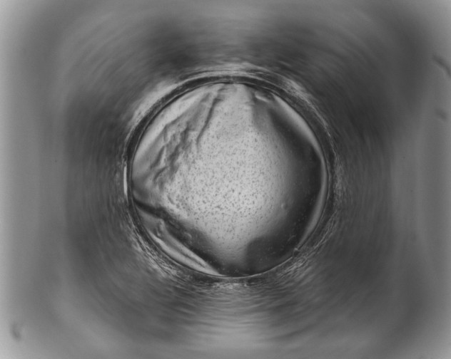 X0000100351320200806201531