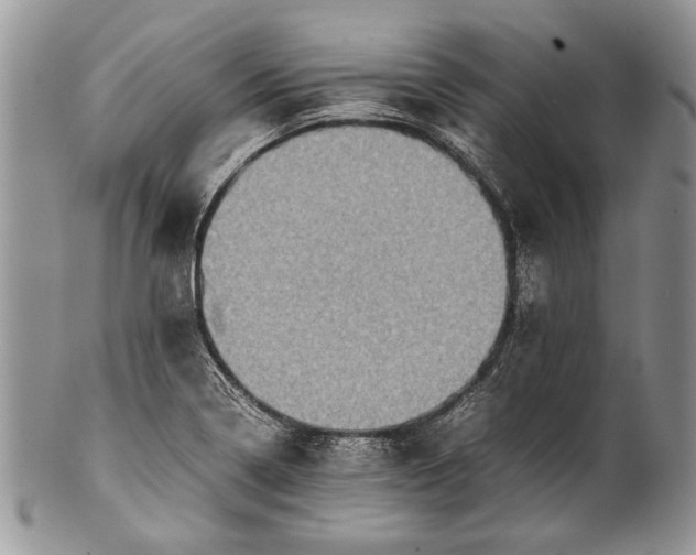 X0000100351322200806201531