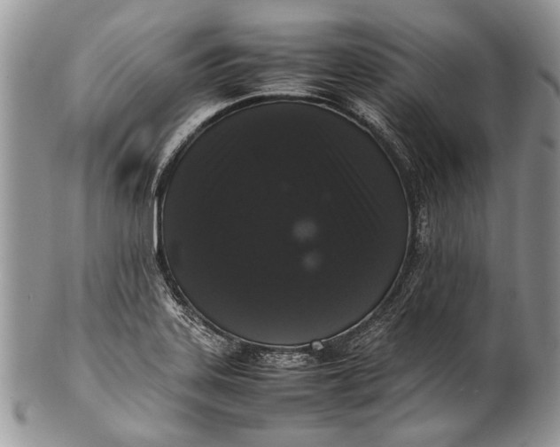 X0000100351323200806201531
