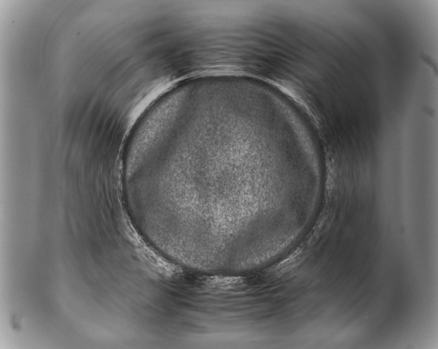X0000100351325200806201531