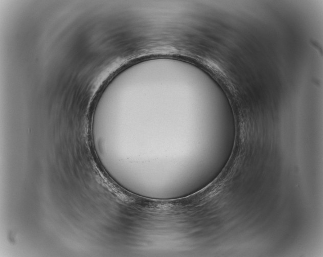 X0000100351326200806201531